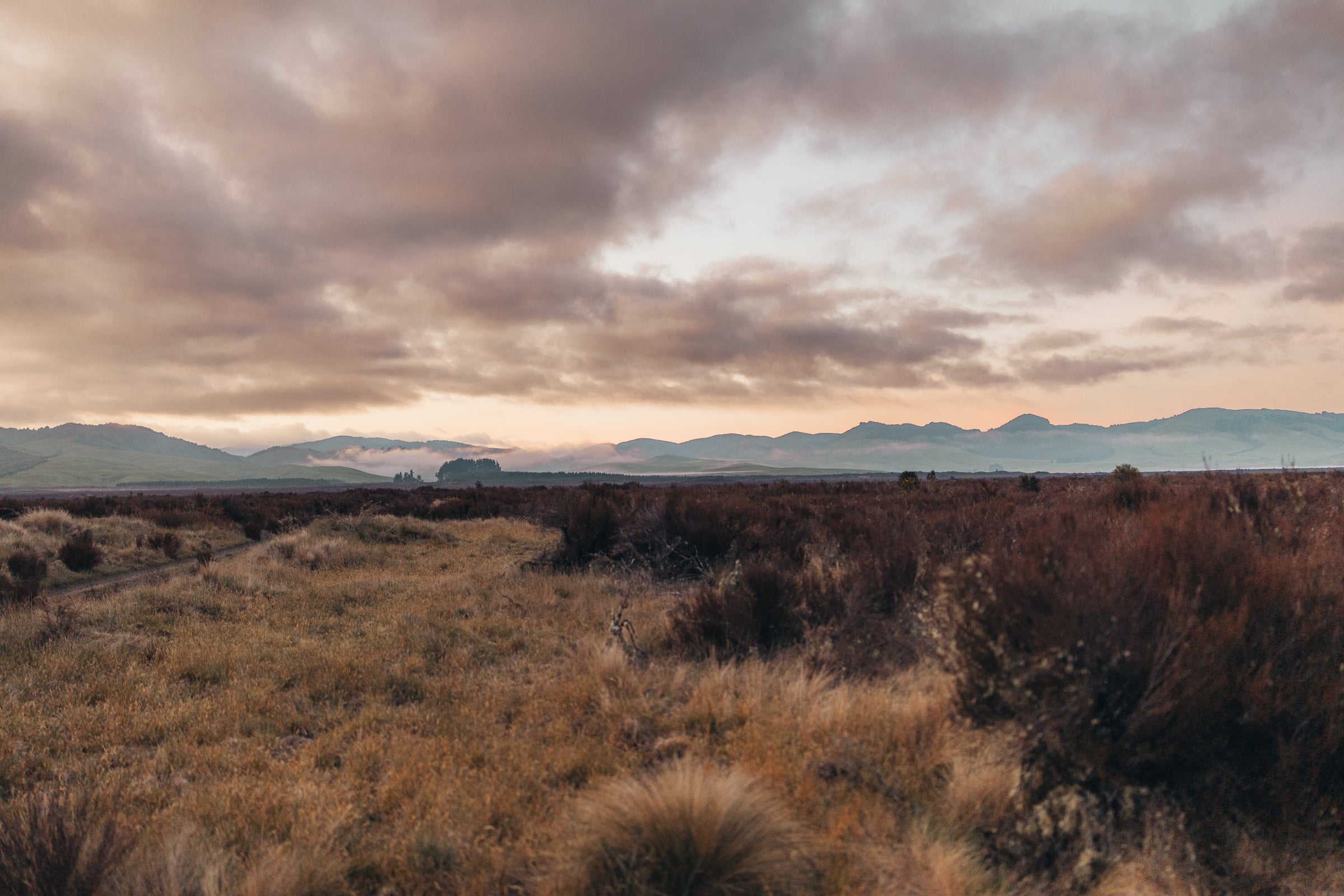 Hunting shirt Australia 